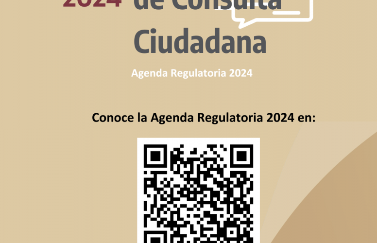 consulta ciudadana