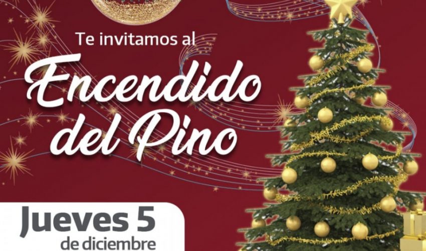 Acompáñanos a encender nuestro pino navideño este jueves 5 de diciembre a las 6 de la tarde