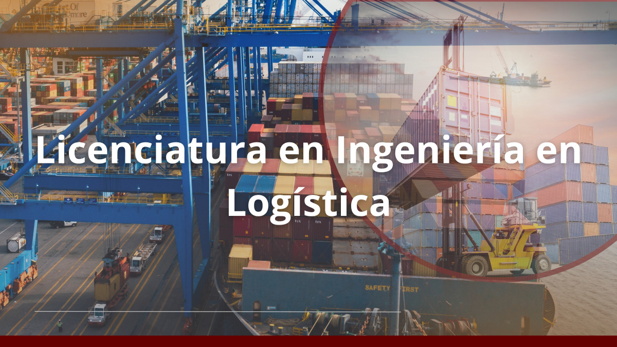 logistica