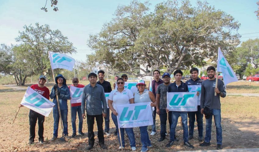 Dragones con Tequios por la Paz: Plantando Esperanza