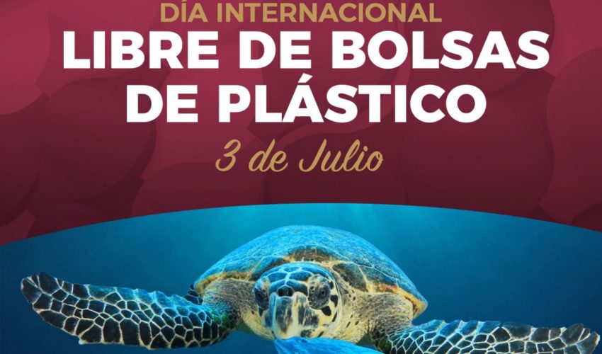 El Día Internacional Libre de Bolsas de Plástico se celebra cada 3 de julio