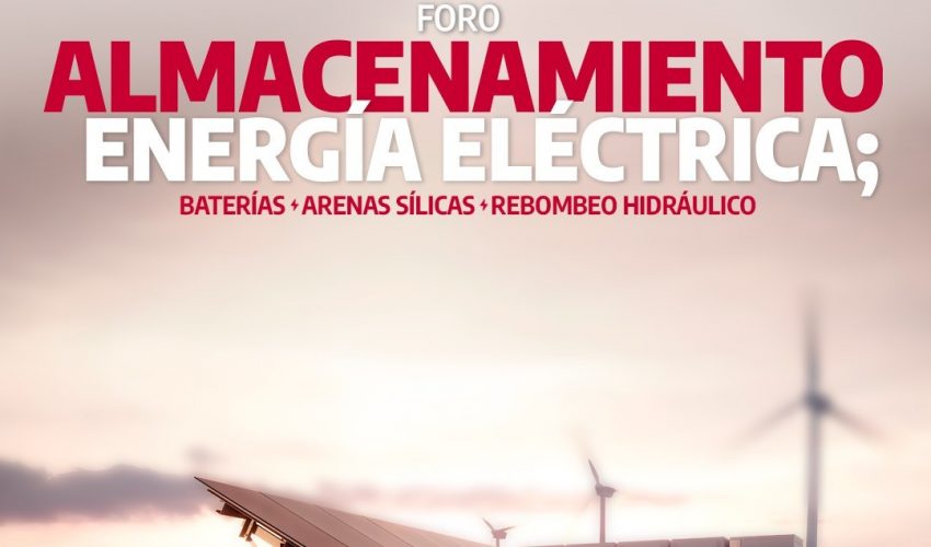 Foro “Almacenamiento de Energía Eléctrica”