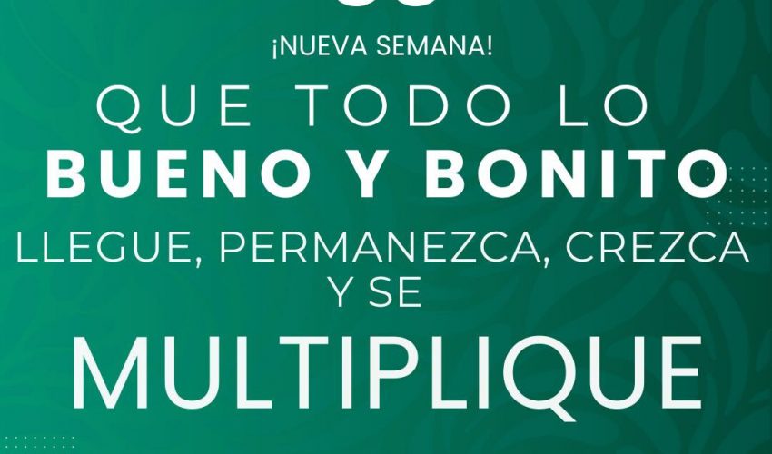 ¡Excelente inicio de semana!